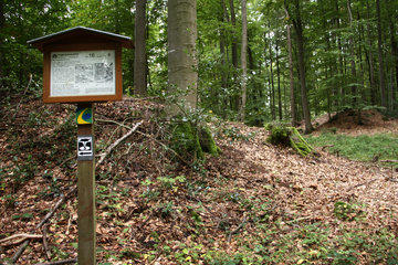 Pingen - ein Bodendenkmal bei Golbach