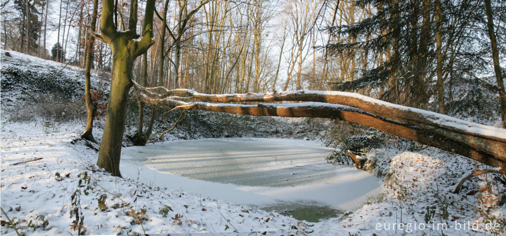 Detailansicht von 