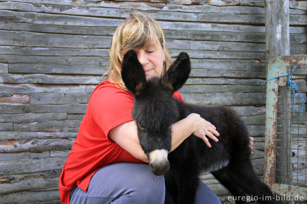 Detailansicht von 10 Tage altes Eselkind mit Besitzerin