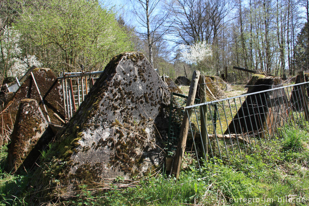 Detailansicht von 5-zeilige Höckerlinie am Grölisbach bei Roetgen, Standort-Nr. ROE.025