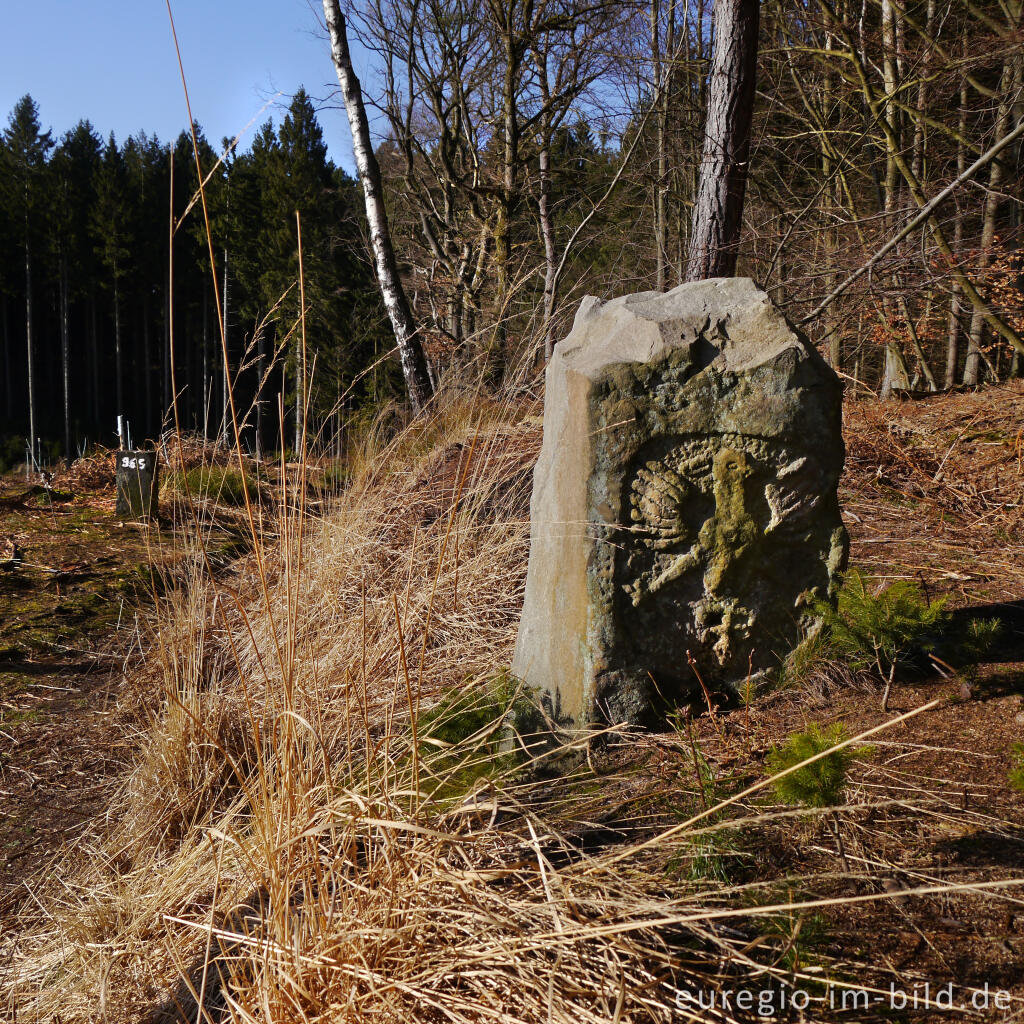 Detailansicht von Aachener Adlerstein