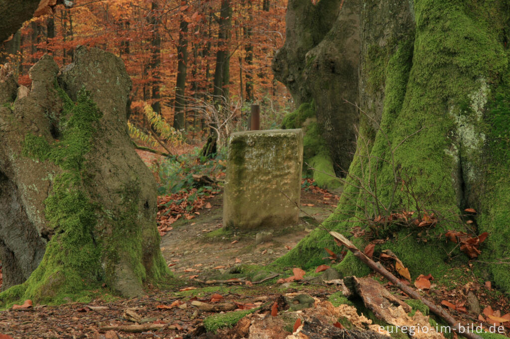 Detailansicht von Aachener Landwehr beim Moresneter Weg, Grenzstein