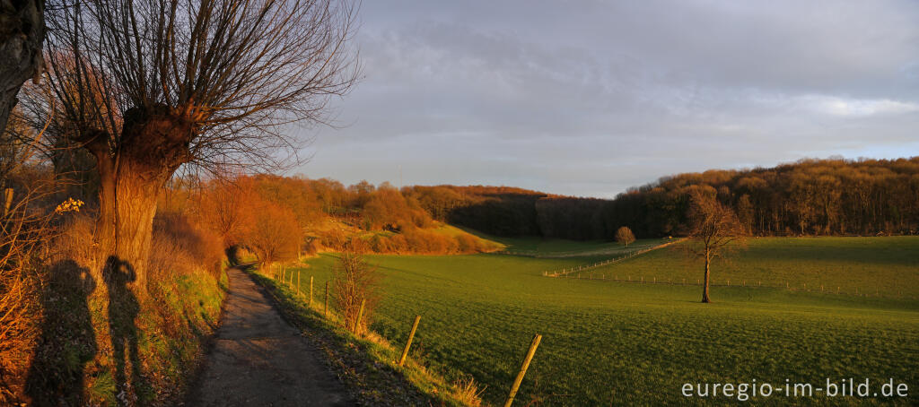 Detailansicht von  Abendstimmung auf dem Haenenbergpad bei Slenaken