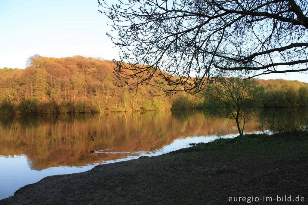 Detailansicht von Abendstimmung im Frühling am Cranenweyer bei Kerkrade, NL