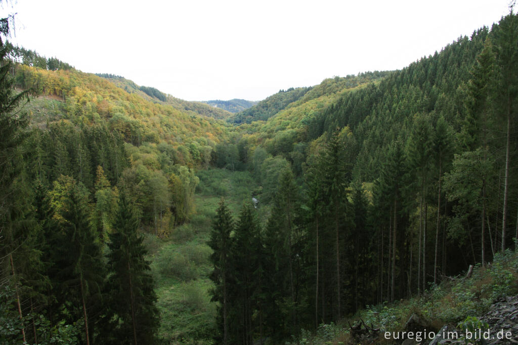 Detailansicht von Abendstimmung im Liesertal, nördlich von Manderscheid