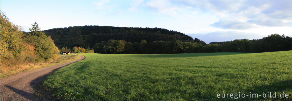 Detailansicht von Abendstimmung im Liesertal nördlich von manderscheid