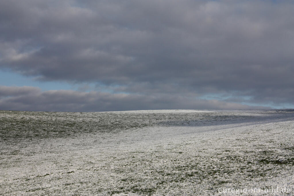 Detailansicht von Abendstimmung und Winterwiese bei  Beusdael, Sippenaeken, Belgien