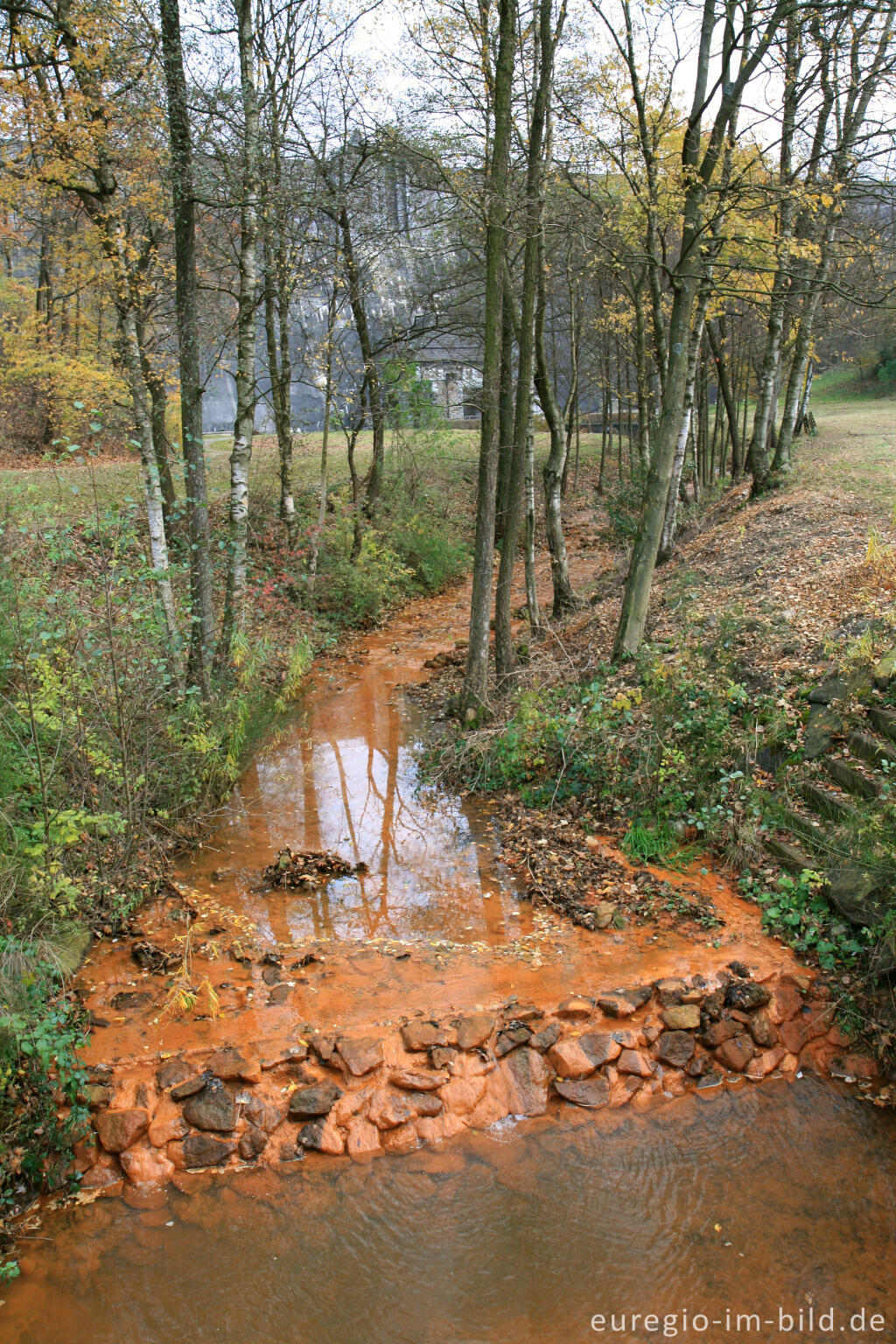 Detailansicht von Abfluss aus der Trinkwassertalsperre Dreilägerbachtallsperre, Nordeifel