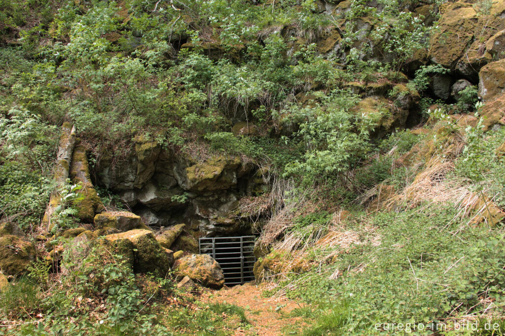 Detailansicht von Abgesperrte Mühlsteinhöhle am "Rother Kopf"