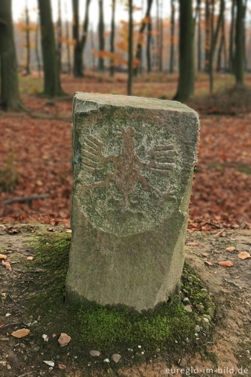 Detailansicht von Adlerstein auf dem Wall der Landwehr, beim Moresneter Weg