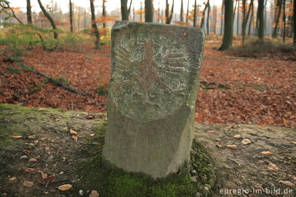 Detailansicht von Adlerstein auf dem Wall der Landwehr, beim Moresneter Weg