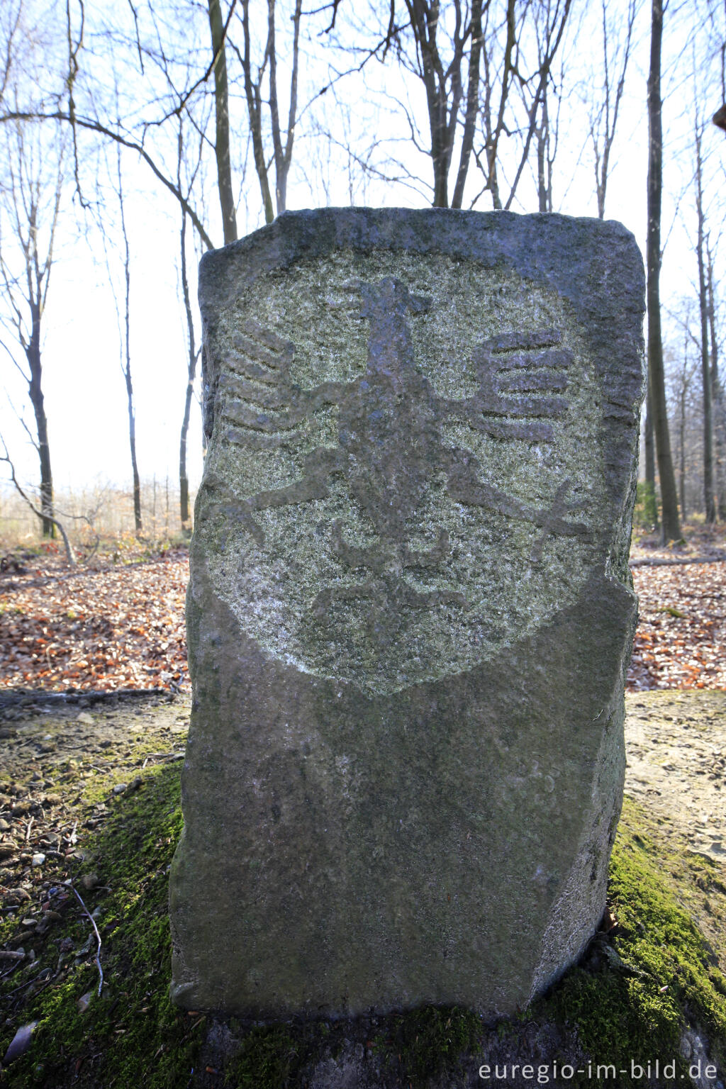 Detailansicht von Adlerstein auf dem Wall der Landwehr, beim Moresneter Weg