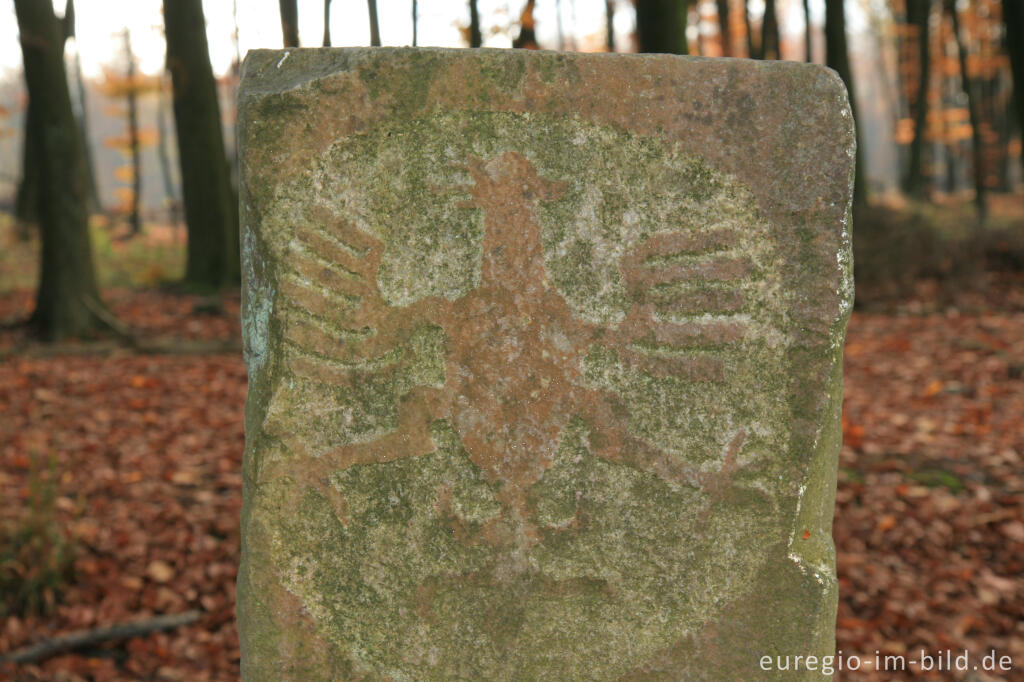 Detailansicht von Adlerstein beim Moresneter Weg, Dreiländerpunkt