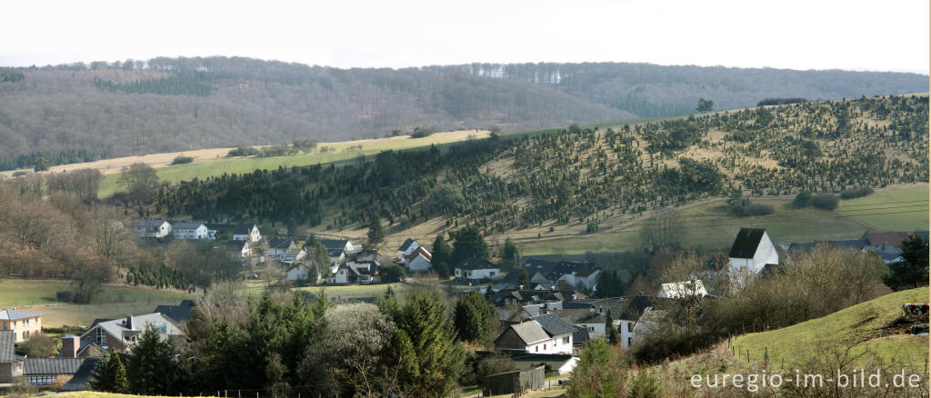 Detailansicht von Alendorf, Gemeinde Blankenheim