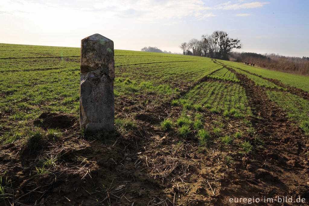 Detailansicht von Alter Grenzstein nordwestlich von Aachen-Orsbach