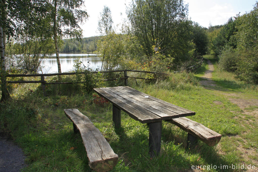 Detailansicht von Am Niederzierersee auf der Sophienhöhe