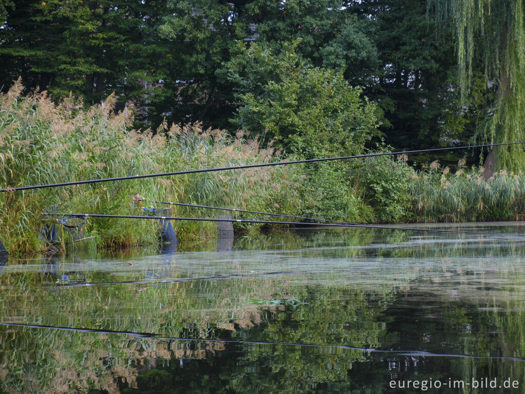 Detailansicht von Angelweiher im Broichbachtal