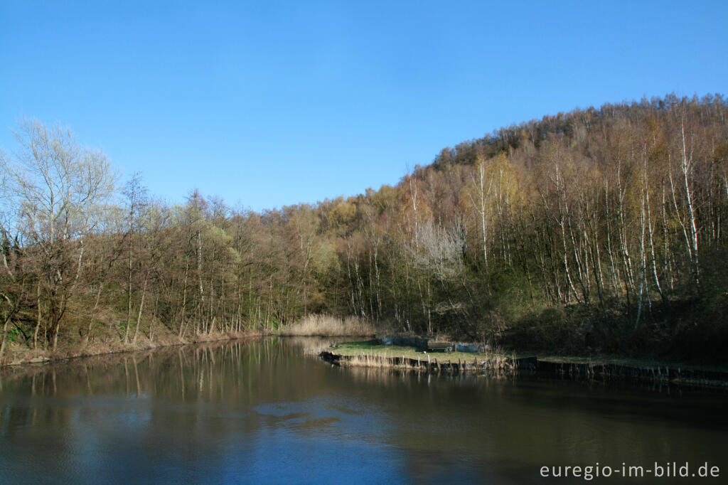 Detailansicht von Angelweiher im Grube-Adolf-Park bei Plitschard