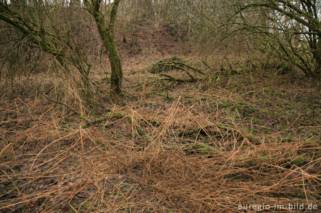 Detailansicht von Auenlandschaft im Wurmtal, bei Würselen - Scherberg