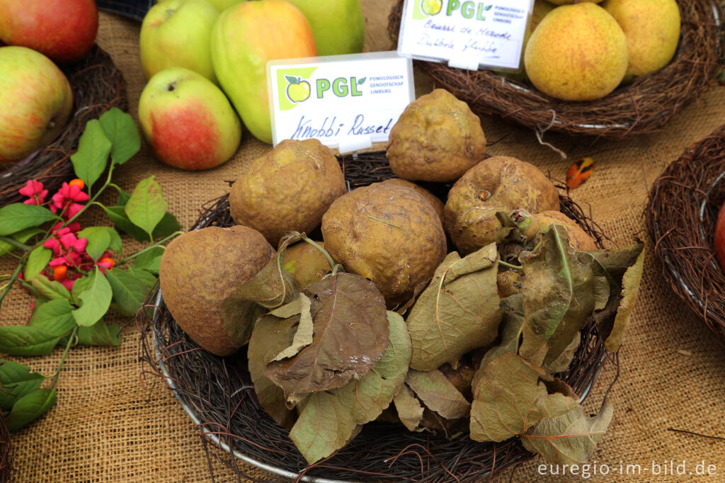 Detailansicht von Auf dem 9. Aachener Obstwiesenfest 2015