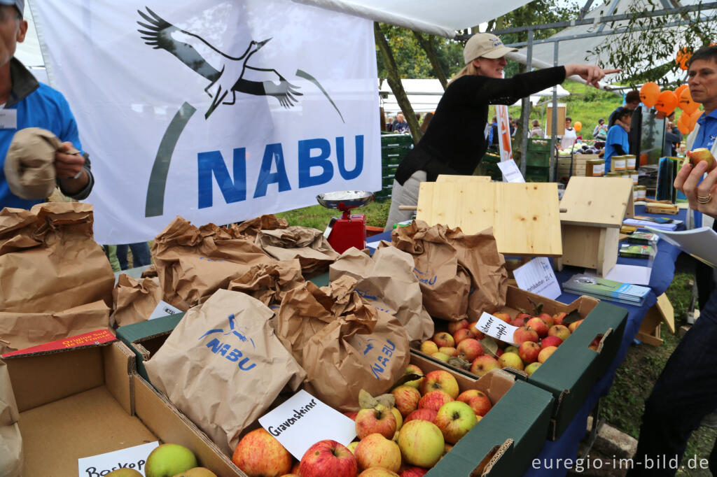 Detailansicht von Auf dem 9. Aachener Obstwiesenfest 2015