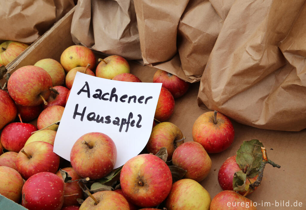 Detailansicht von Auf dem 9. Aachener Obstwiesenfest 2015