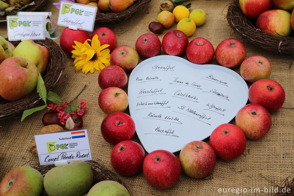 Detailansicht von Auf dem 9. Aachener Obstwiesenfest 2015