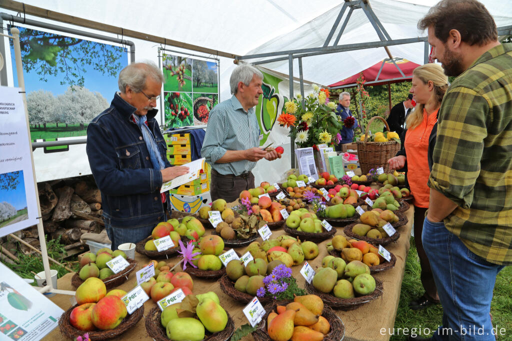 Detailansicht von Auf dem 9. Aachener Obstwiesenfest 2015