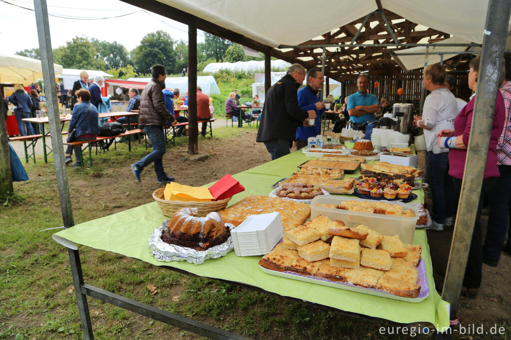 Detailansicht von Auf dem 9. Aachener Obstwiesenfest 2015