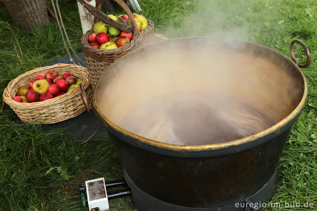 Detailansicht von Auf dem 9. Aachener Obstwiesenfest 2015