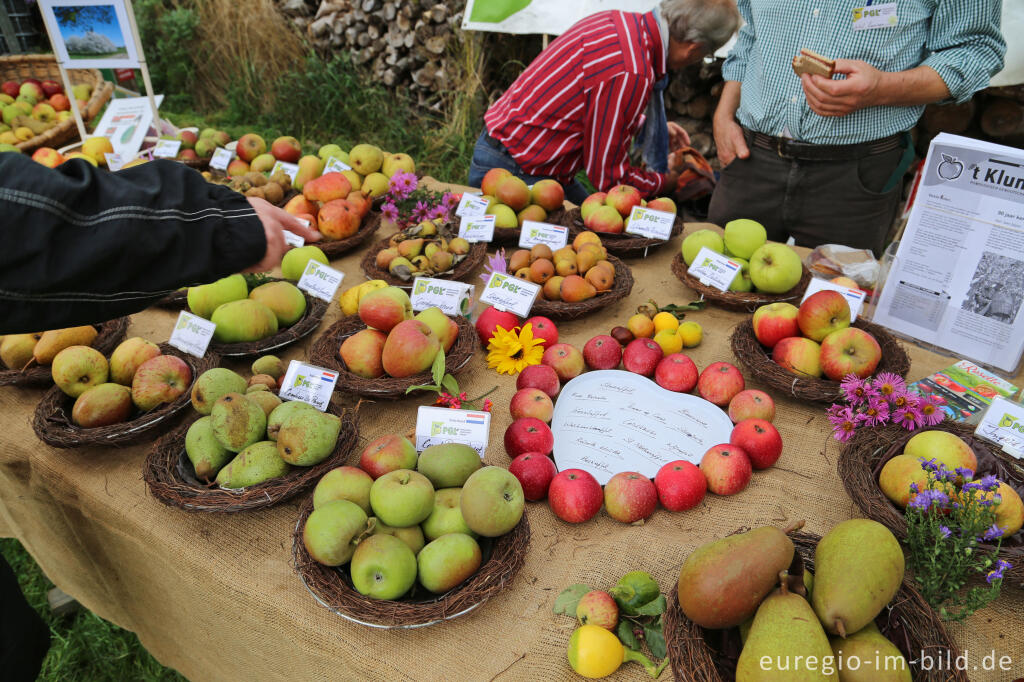 Detailansicht von Auf dem 9. Aachener Obstwiesenfest 2015