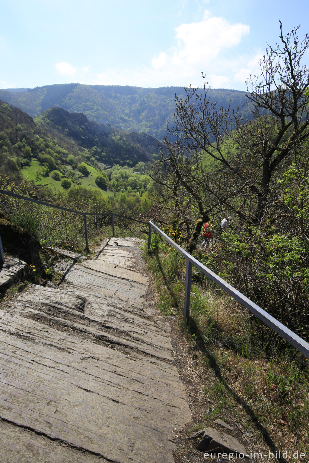 Auf dem Ahrsteig bei Altenahr