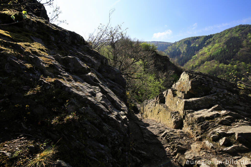 Auf dem Ahrsteig zwischen Altenburg und Altenahr