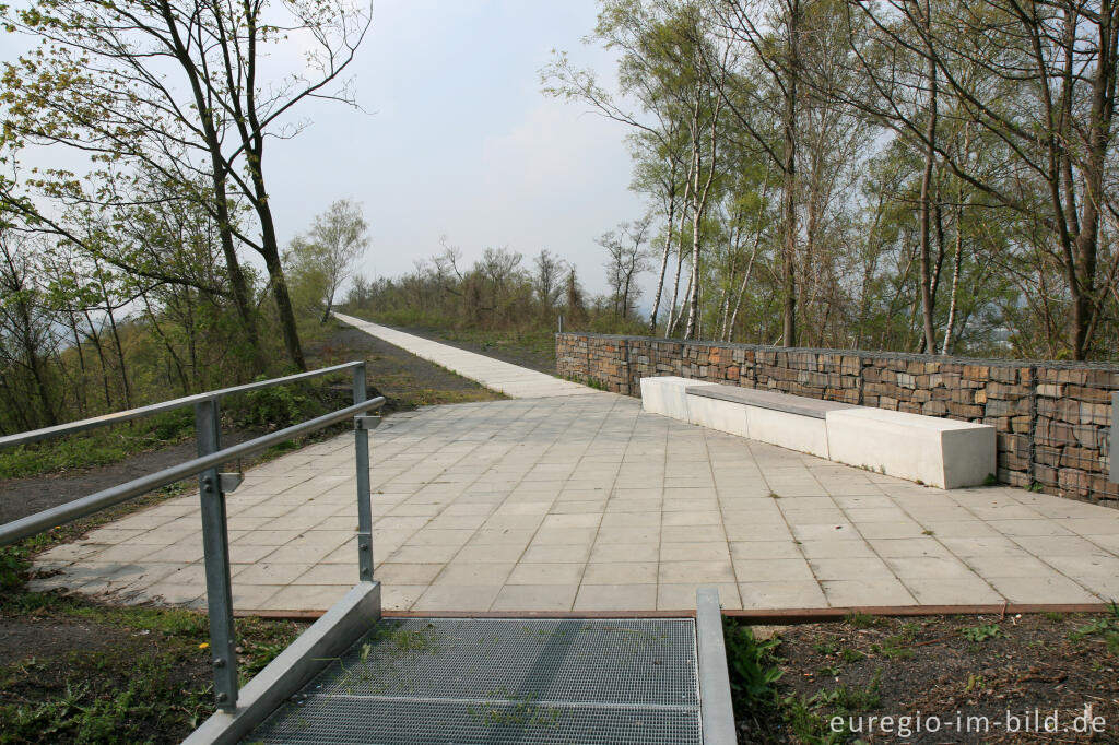 Detailansicht von Auf dem Bergplateau des Carl-Alexander-Parks, Baesweiler