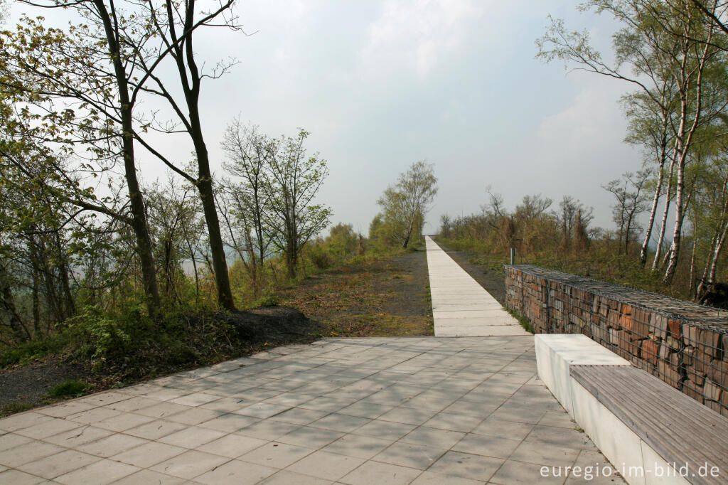 Detailansicht von Auf dem Bergplateau des Carl-Alexander-Parks, Baesweiler