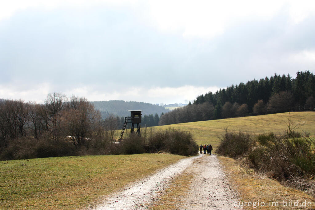 Auf dem Brotpfad / 7. Etappe des Eifelsteigs