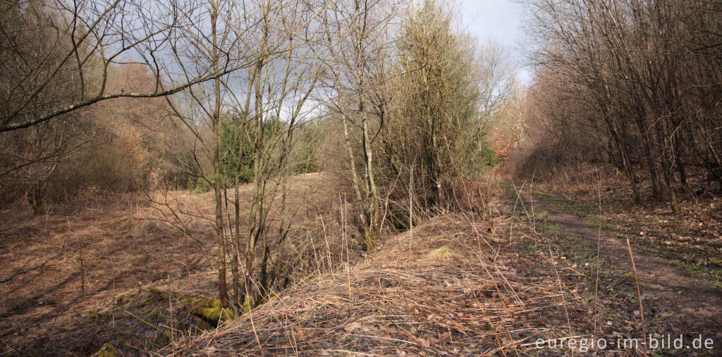 Auf dem Brotpfad / 7. Etappe des Eifelsteigs