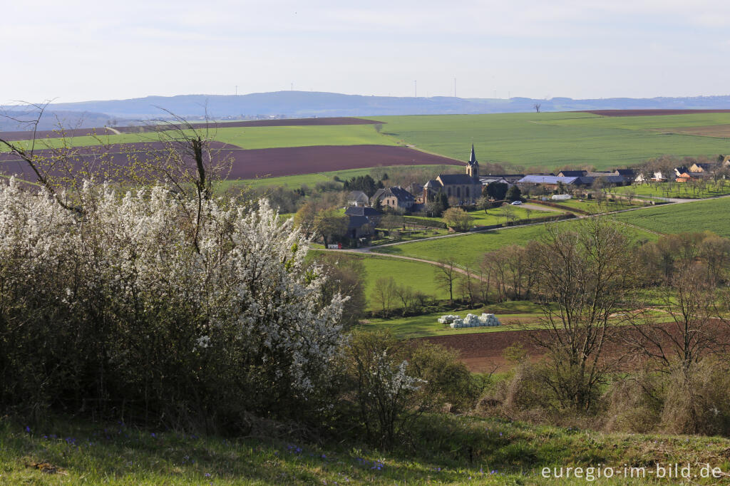 Auf dem Bürvenicher Berg 