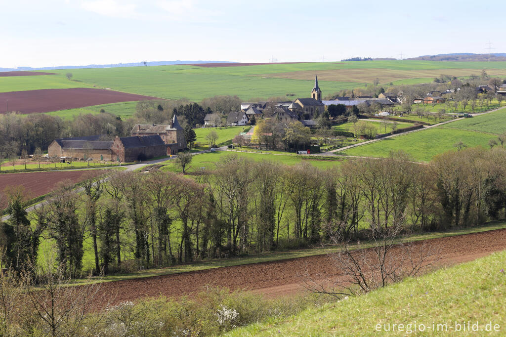 Detailansicht von Auf dem Bürvenicher Berg 