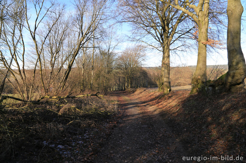 Detailansicht von Auf dem "Dorfrundgang Lammersdorf"