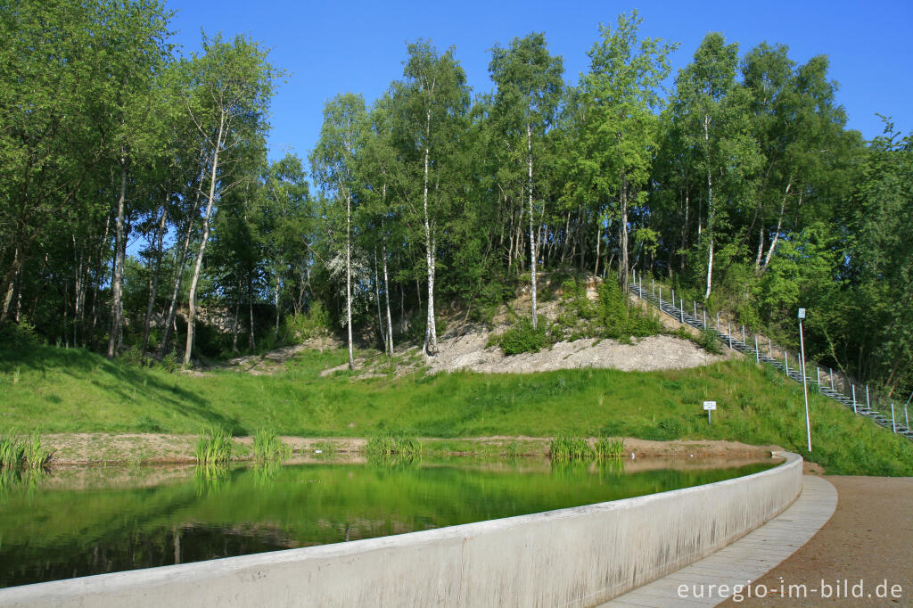 Detailansicht von Auf dem Dreiecksplatz beim Kalkhaldenpark, Würselen