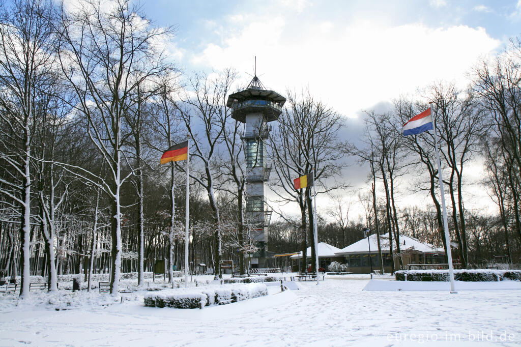 Detailansicht von Auf dem Dreiländerpunkt im Winter