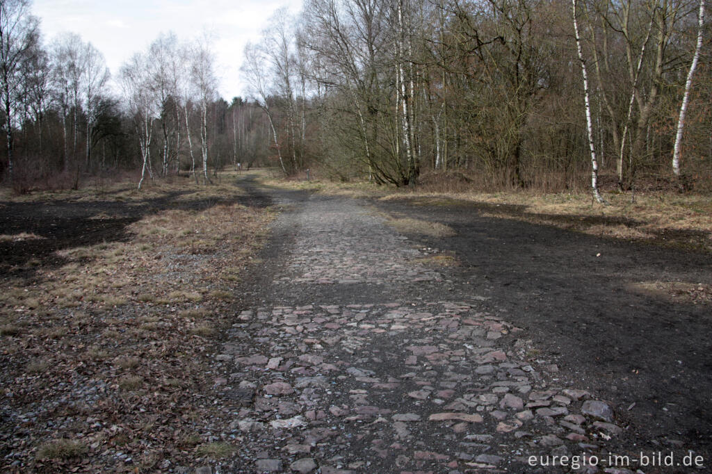 Detailansicht von Auf dem ehemaligen Bergbaugelände in Plombières