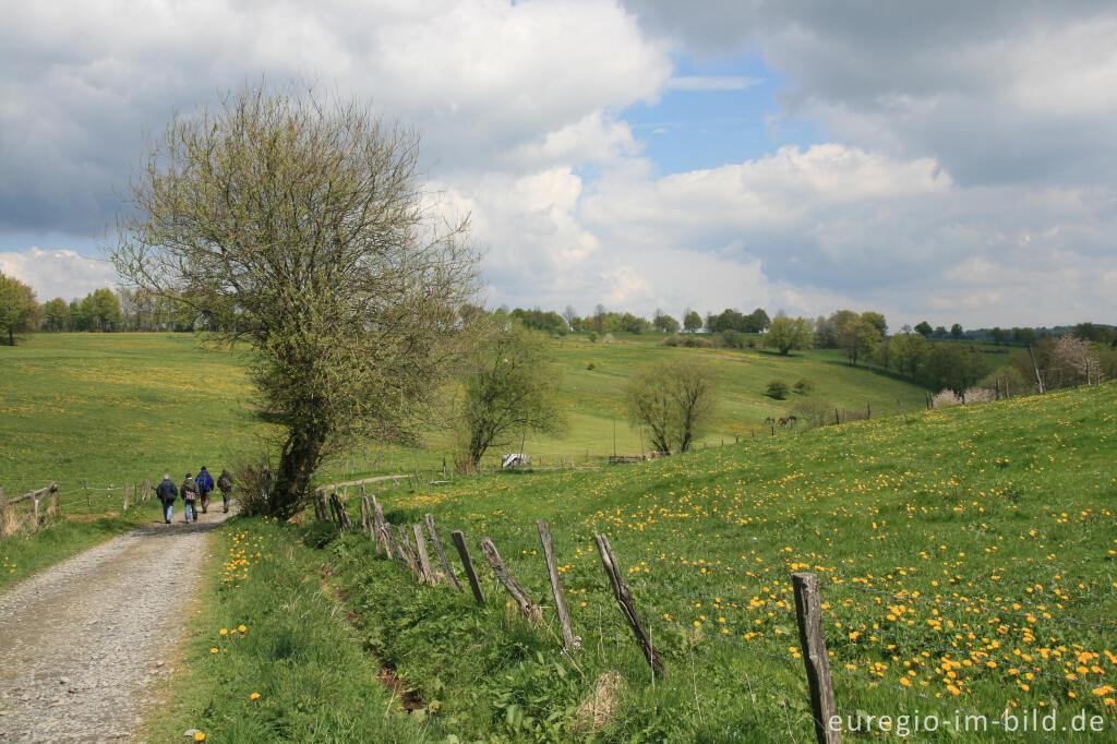 Auf dem Eifelsteig bei Höfen