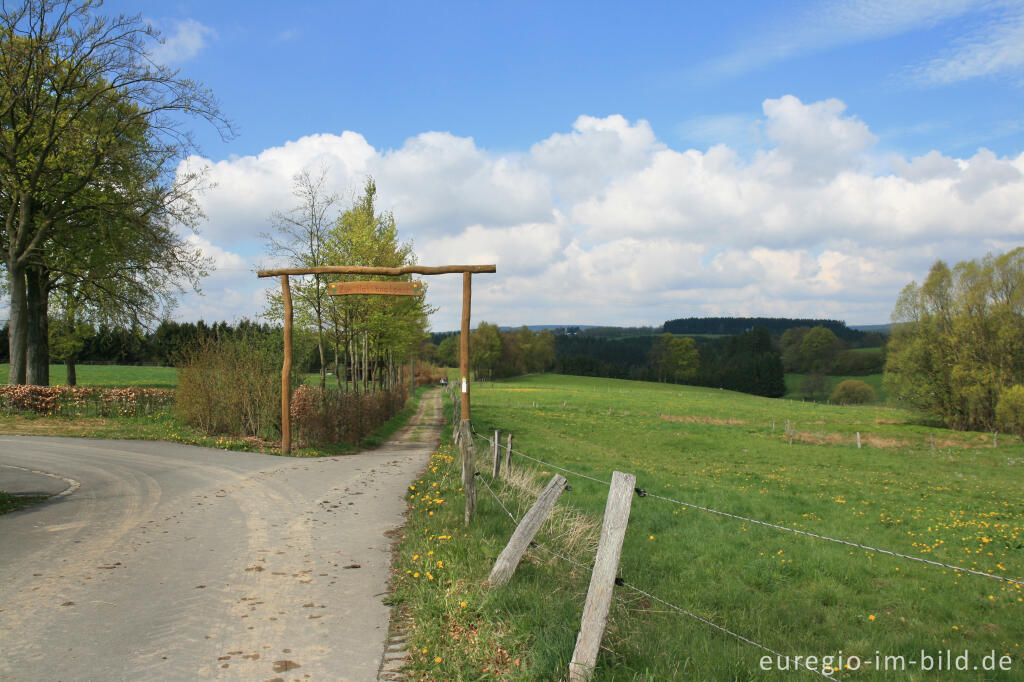 Detailansicht von Auf dem Eifelsteig bei Höfen, Natinalparktor