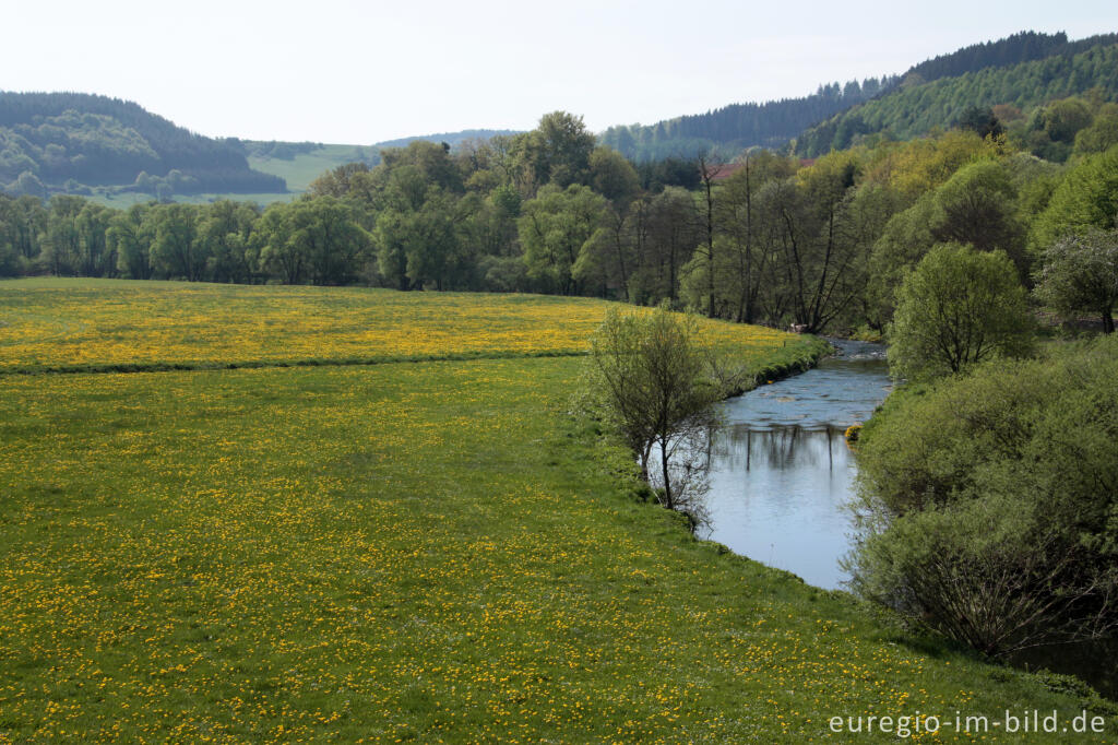 Detailansicht von Auf dem Eifelsteig im Kylltal, südlich von Hillesheim