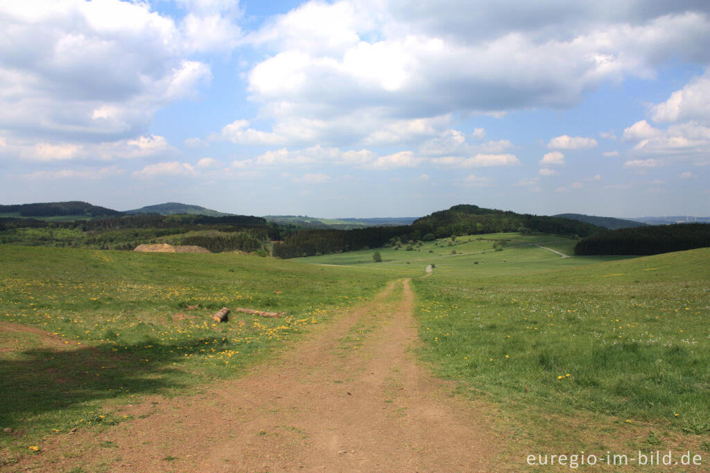 Detailansicht von Auf dem Eifelsteig vom Nerother Kopf zum Birkenberg