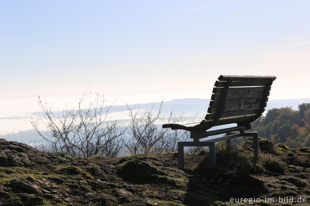 Detailansicht von Auf dem Ettringer Bellerberg