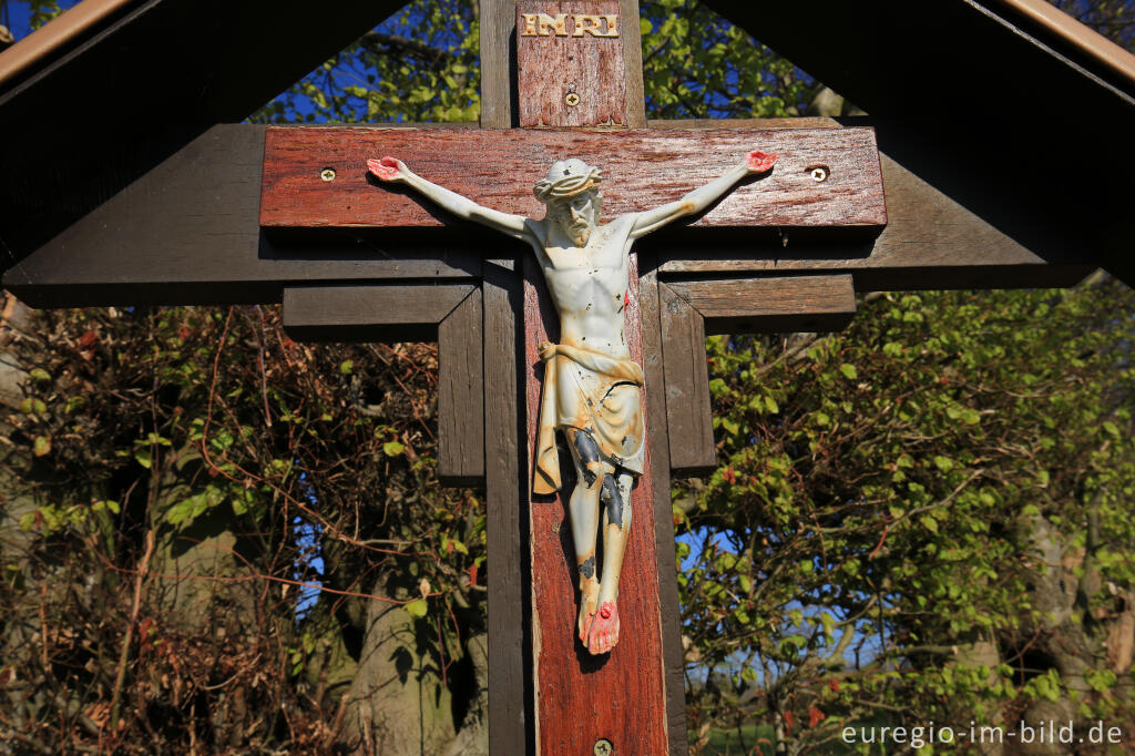 Auf dem Flurheckenweg von Eicherscheid