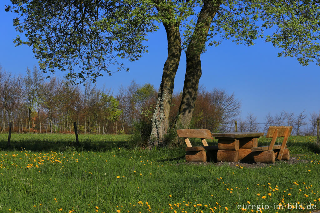 Auf dem Flurheckenweg von Eicherscheid